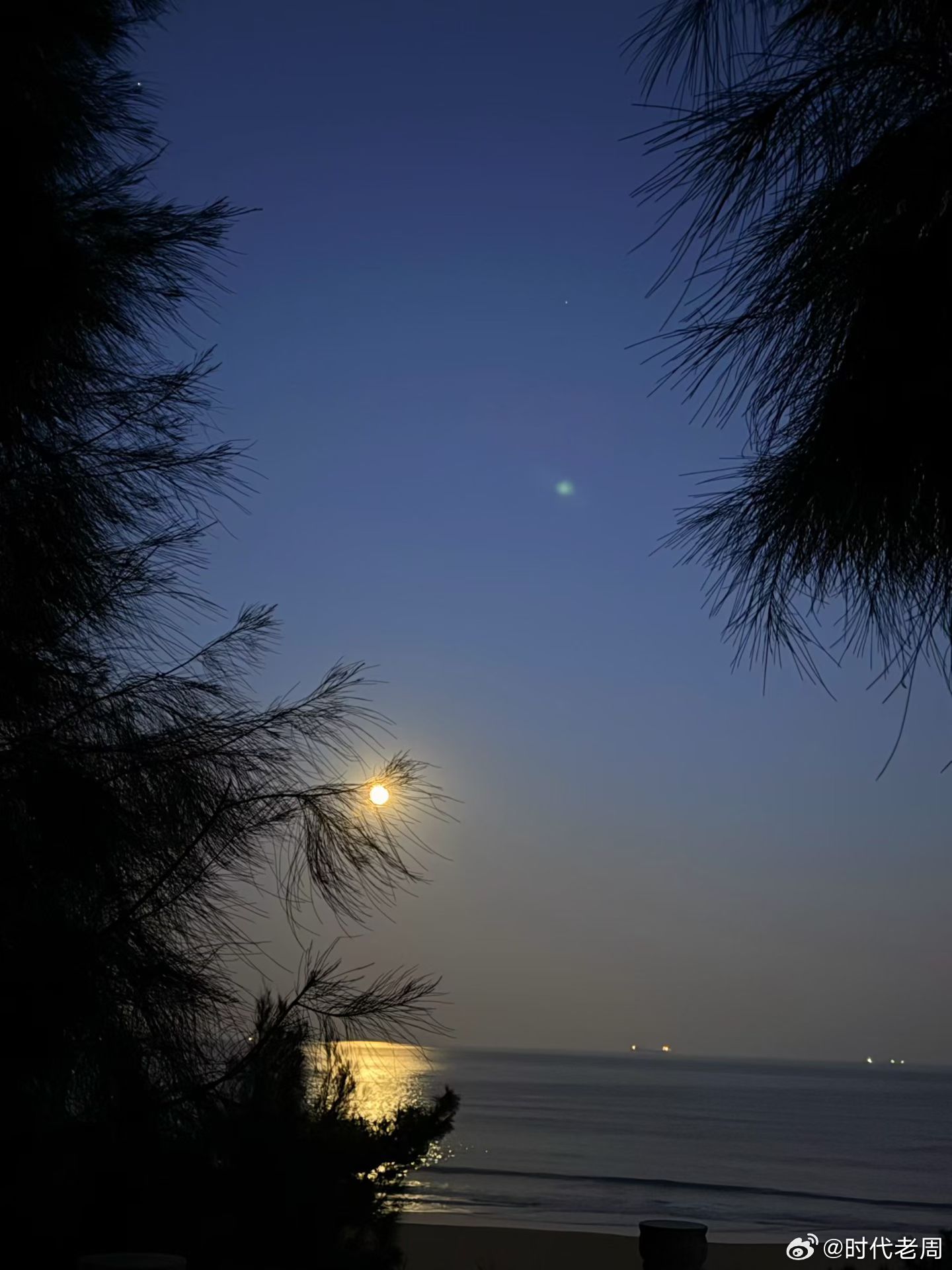 香港才子蔡澜，语出惊人：