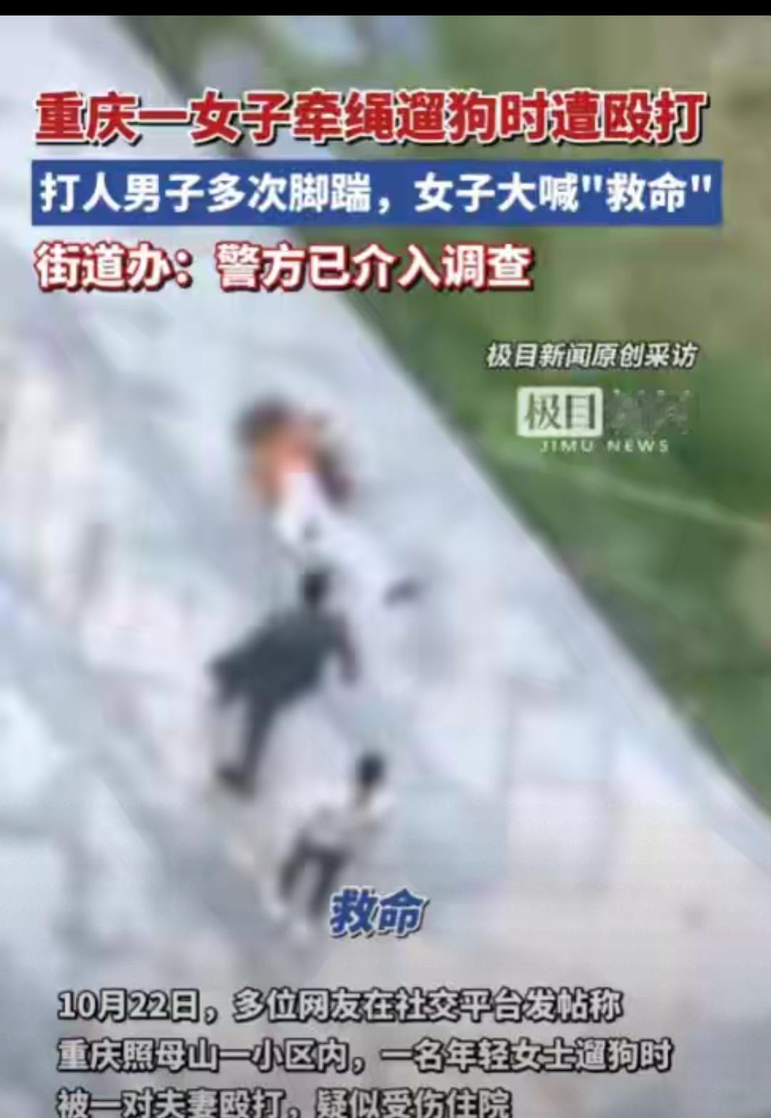 重庆这事儿真的越想越气！规规矩矩牵绳遛狗，就因为对方觉得绳长挡路，居然能被一个大