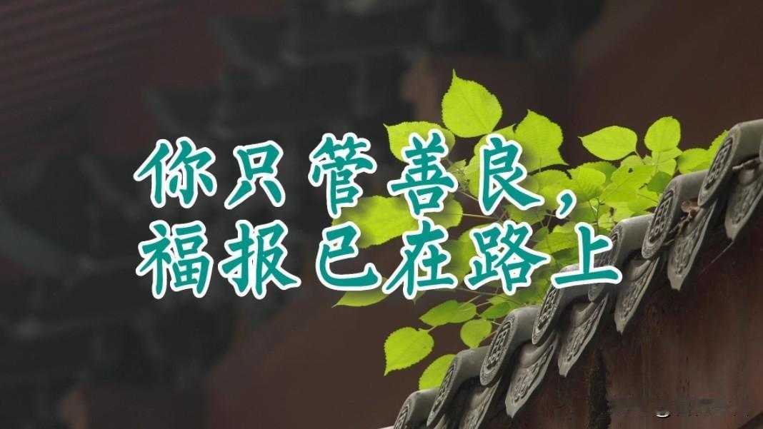 做人不必精明算计，守住善良就好。生活不会辜负一个善良的人，你对世界温柔以待