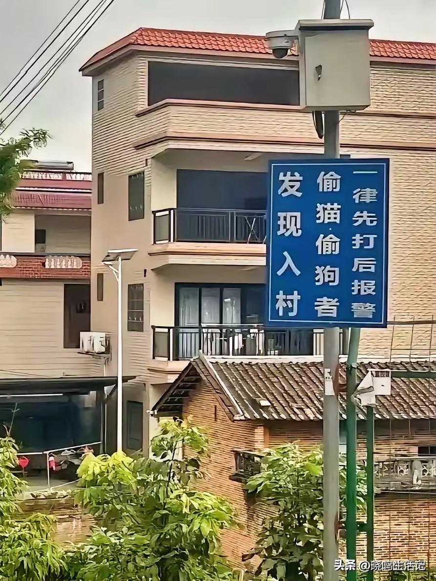 这个村霸气[赞]