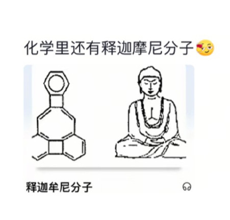 当科学家意识到起名自由度很高时还有炸糊的花生米戴黄帽