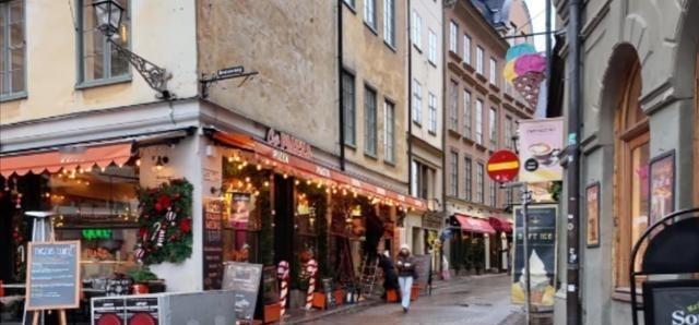 为什么说瑞典没几个中国人待得住？这么说吧，在瑞典生活几个月，就算不疯也得抑郁