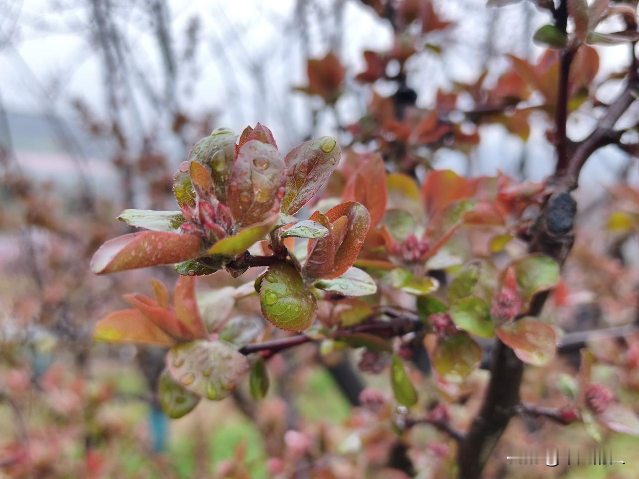 看病我从心理上也不会去私立医院。就拿身边情况来说，公立医院永远人满为患，挂号、看