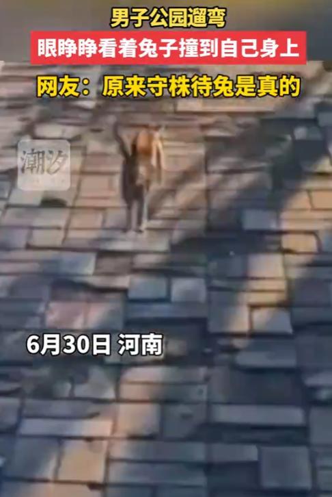 “笑不活了！”6月30日，河南，一男子在公园散步，不料，前方跑来一只野兔，速度之