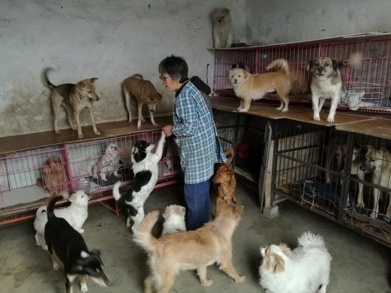 点狗棚小孩家长已赔礼道家人们看完这个监控直接破防！江苏连云港两个孩子玩烟花