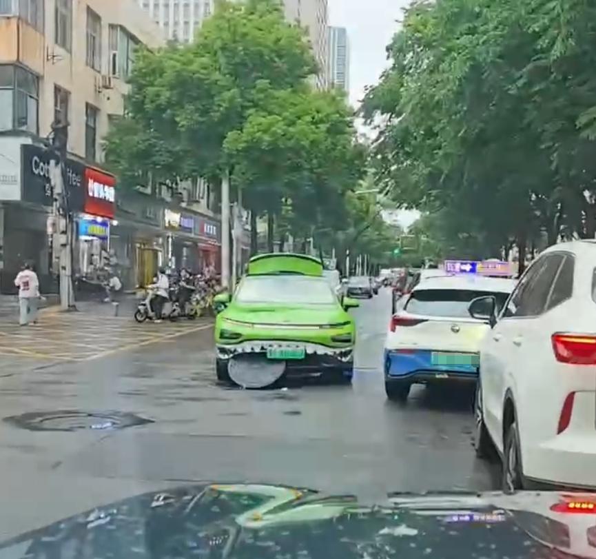 大鲨鱼爱吃奥利奥​​​