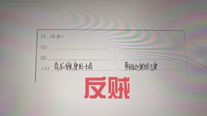 好想像学生的答案一样任性地活着