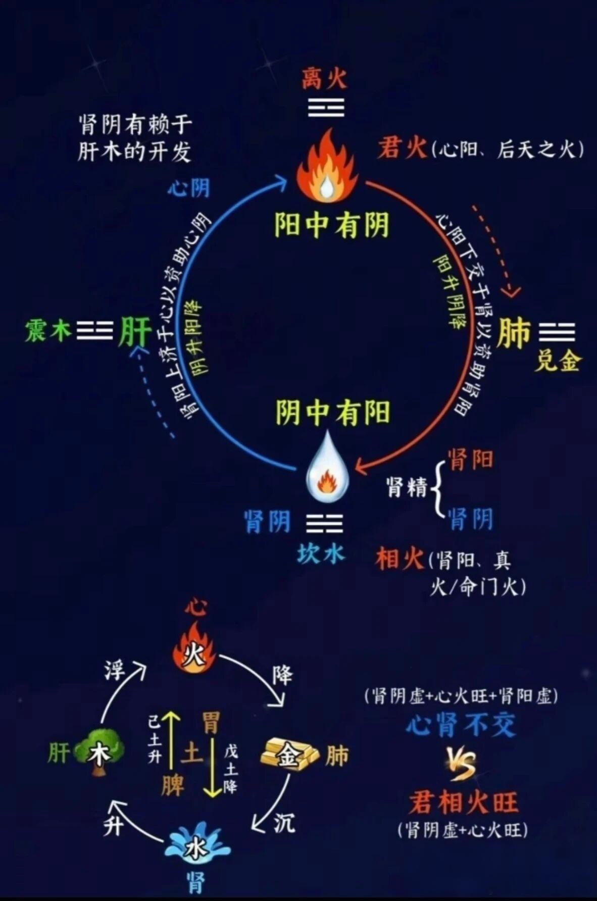 心肾相交水火济丁葵相融气周流水升火降方为顺水寒火浮百病忧🙋癸水上承济心火（滋肾