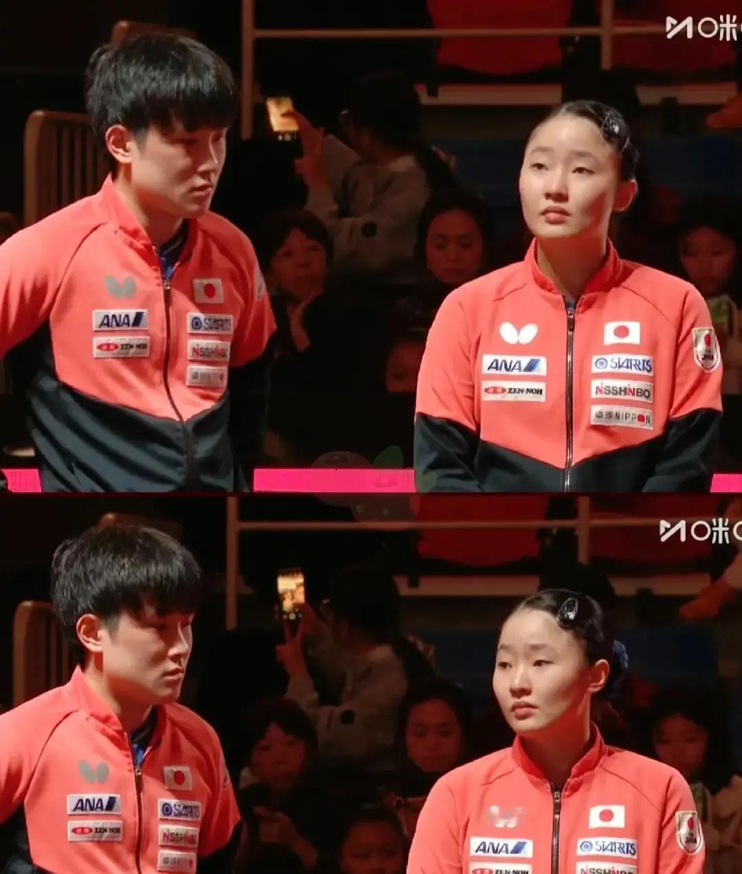 4800万日元年薪被拒，兄妹俩没球练了日本木下俱乐部直接解约，合同还剩一年