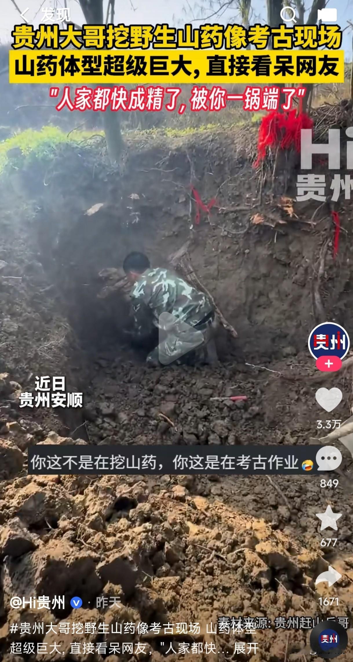 贵州一男子挖野生山药堪比考古现场，不知道的人还以为他在挖那个朝代的文物呢？如此体