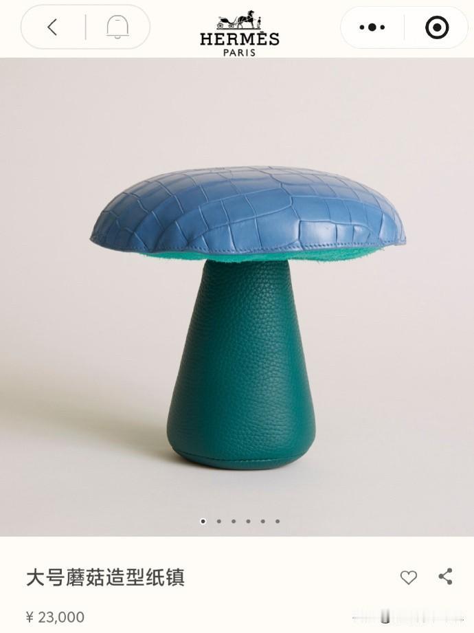 爱马仕一个普通纸镇居然要23000元，难怪网友们常说奢侈品从来不坑穷人。最近有人