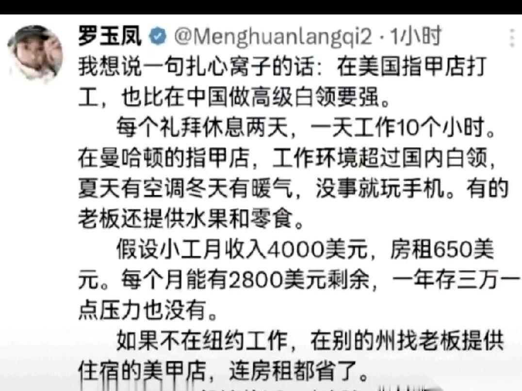 罗玉凤一露面，话就直接撂下了。她说，在美国做美甲，收入比国内的白领要高。镜头