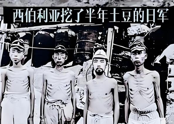 日本为何只怕俄罗斯，不怕中国？很多人以为，是今天的军事差距。错了！真相是，194