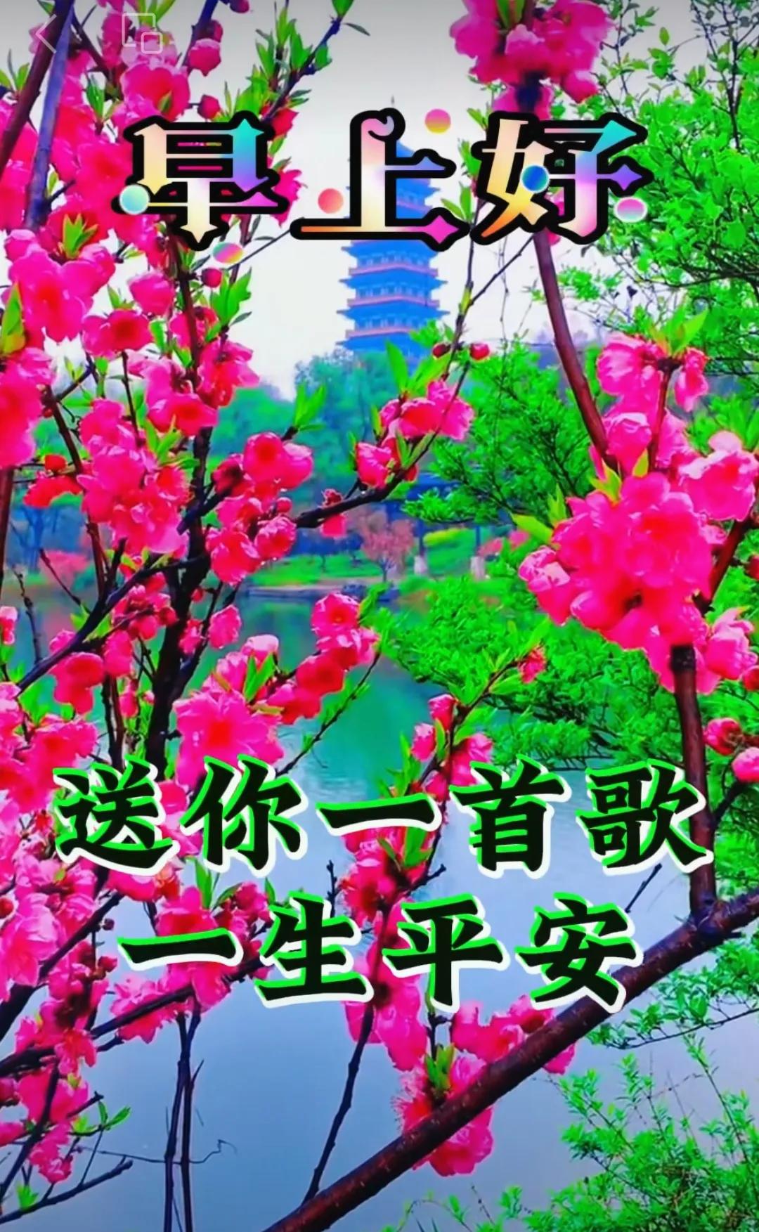 八月鮮花詠芬芳，善緣友情總不忘，滿滿祝福晨送上，心態健康永陽光。早安吉祥