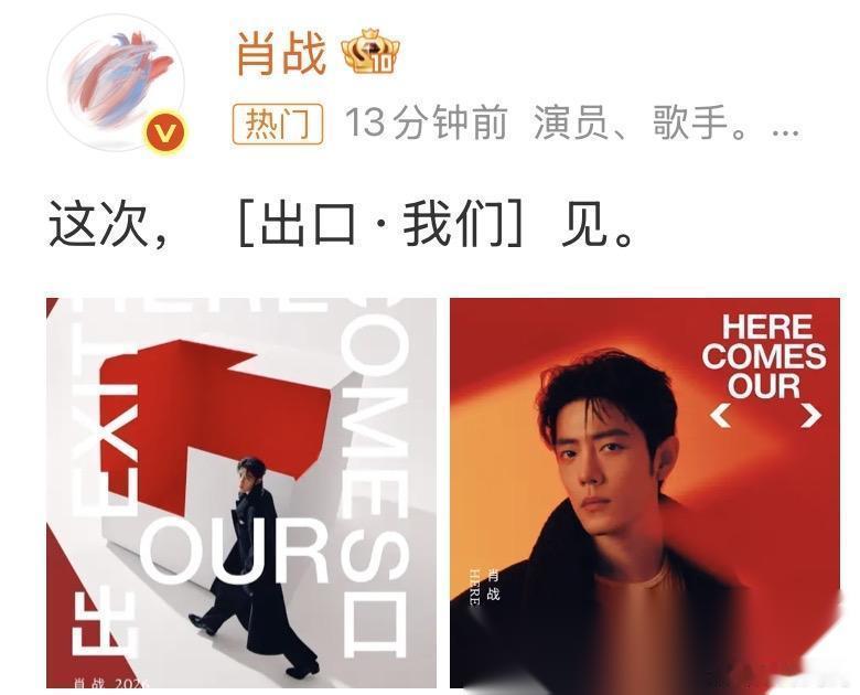 有网友质疑：难道肖战也缺钱了吗？是不是没戏拍了？所以他也来开演唱会捞金？其实网
