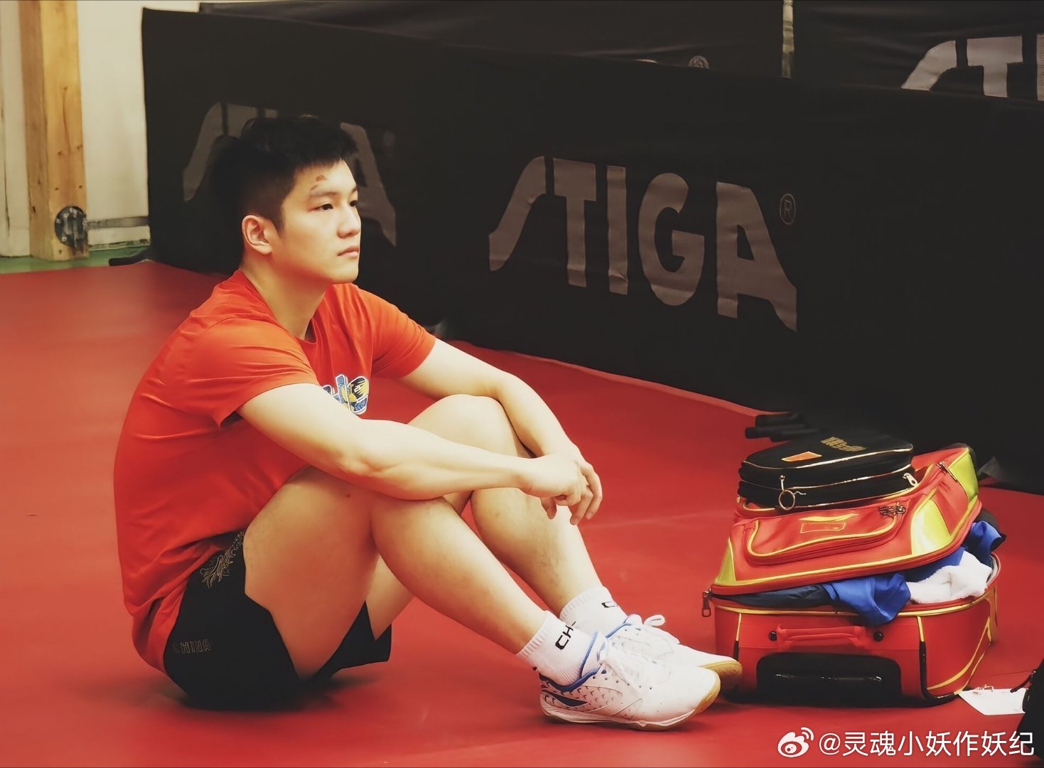 樊振东，你就去考古吧，没有一点黑历史，越是考古越爱​​​