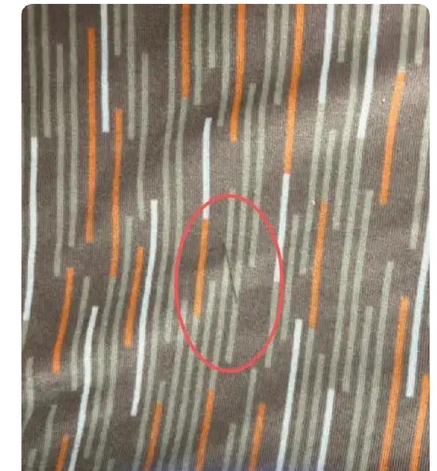 高铁座椅上竟藏针？女子乘车途中惊现绣花针，引发广泛关注。近日，一名女子在乘坐从