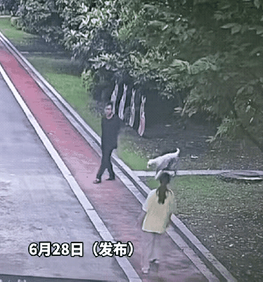 一个女子正在走路，突然窜出来一只大狗，直奔女子并往女子的身上扑。女子吓得手捂着