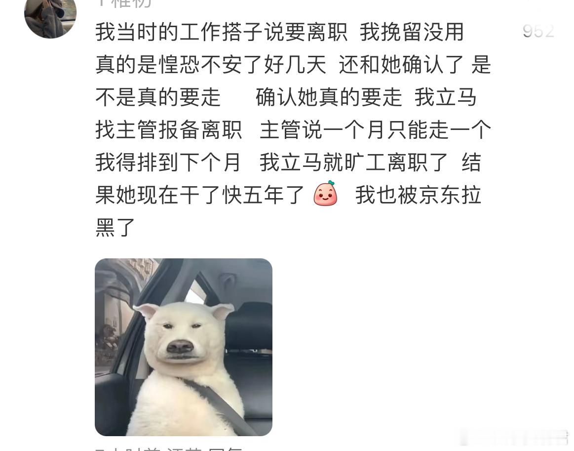 当我的工作搭子要离职是：​​​
