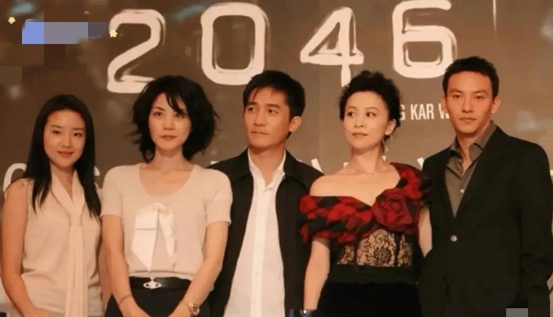 这样一看，董洁的脸还是有点大的。#看清了也挺好#