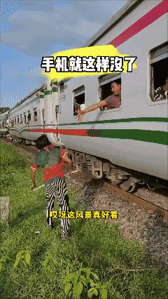 这是哪国人？太嚣张啦！😡