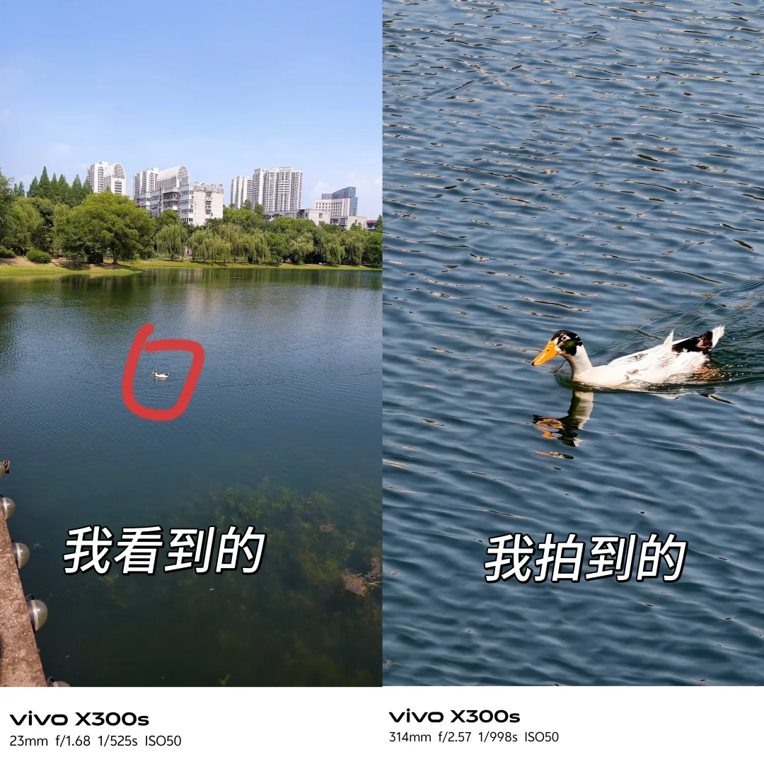 诚不欺我，vivo长焦原来这么厉害！
