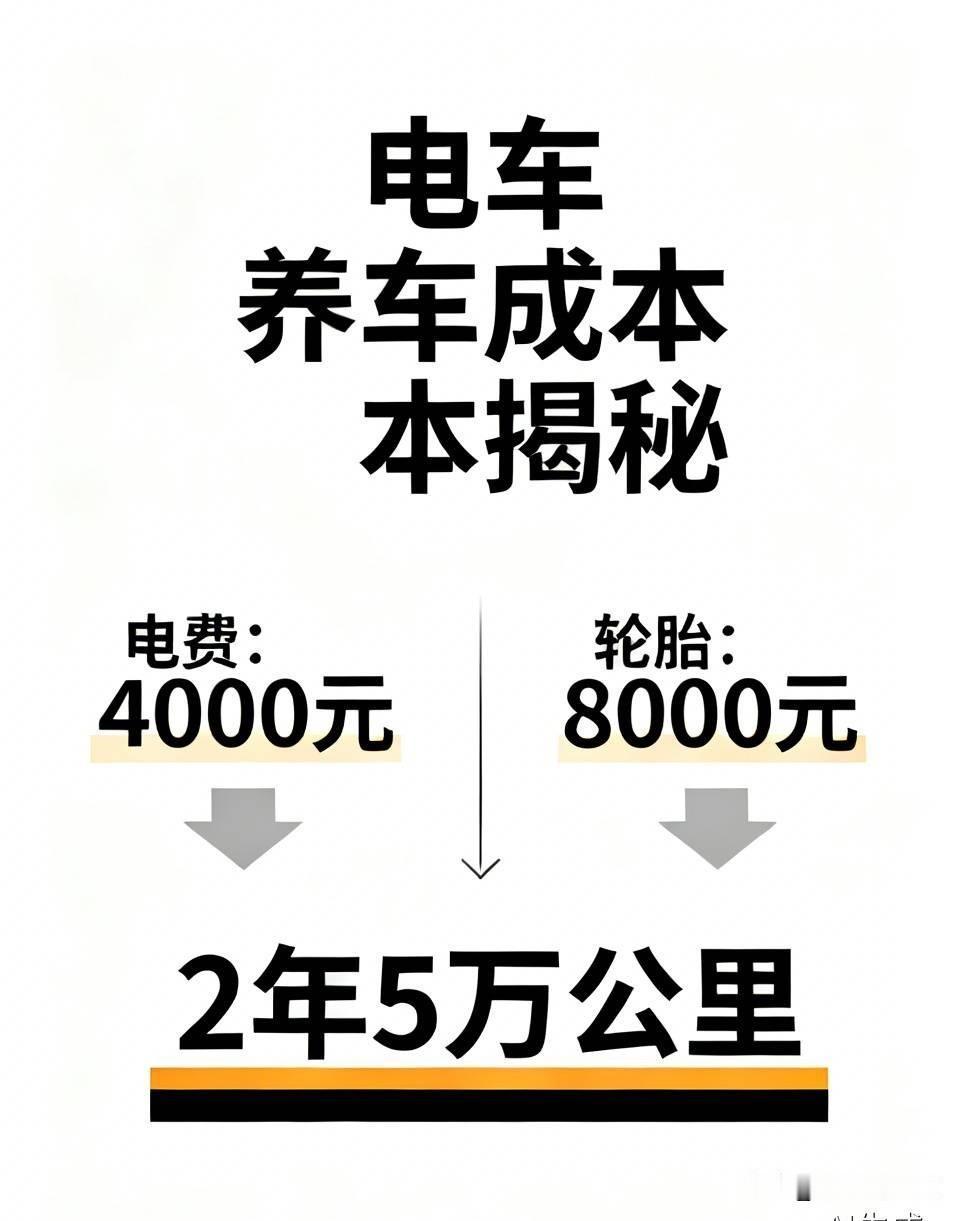 谁能想到！电车最大开销根本不是电费，全被轮胎掏空了很多人买电车，都是冲着省