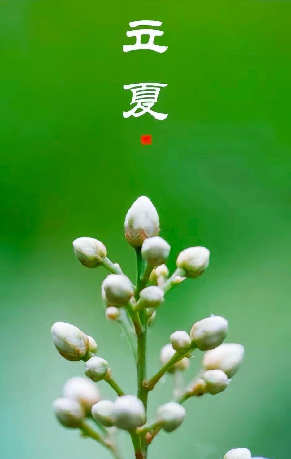 今天5月5号“立夏”:60年罕见一遇，有三大“罕见”现象，“早立夏，凉飕飕；晚立
