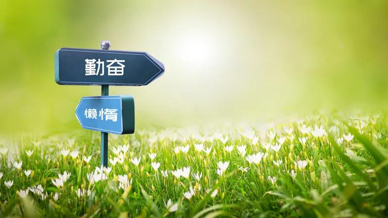 说句扎心的大实话：天天早出晚归、加班加到深夜，忙到连好好吃顿饭的空都没有，一年