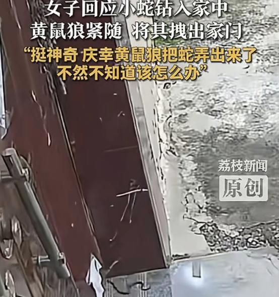 万万没有想到，9月6日报道，安徽，一女子无意间打开家中监控查看时，看到邻居家的小