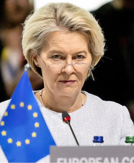 一针见血啊!奥地利前外长克奈斯尔认为在欧盟主席冯德莱恩等人的带领之下,欧盟正在逐