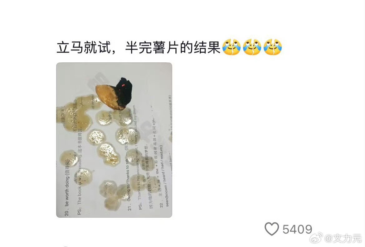爱吃薯片的人天塌了，这有啥天塌了的呀，薯片本来就是油炸的呀，当我决定要吃薯片的时