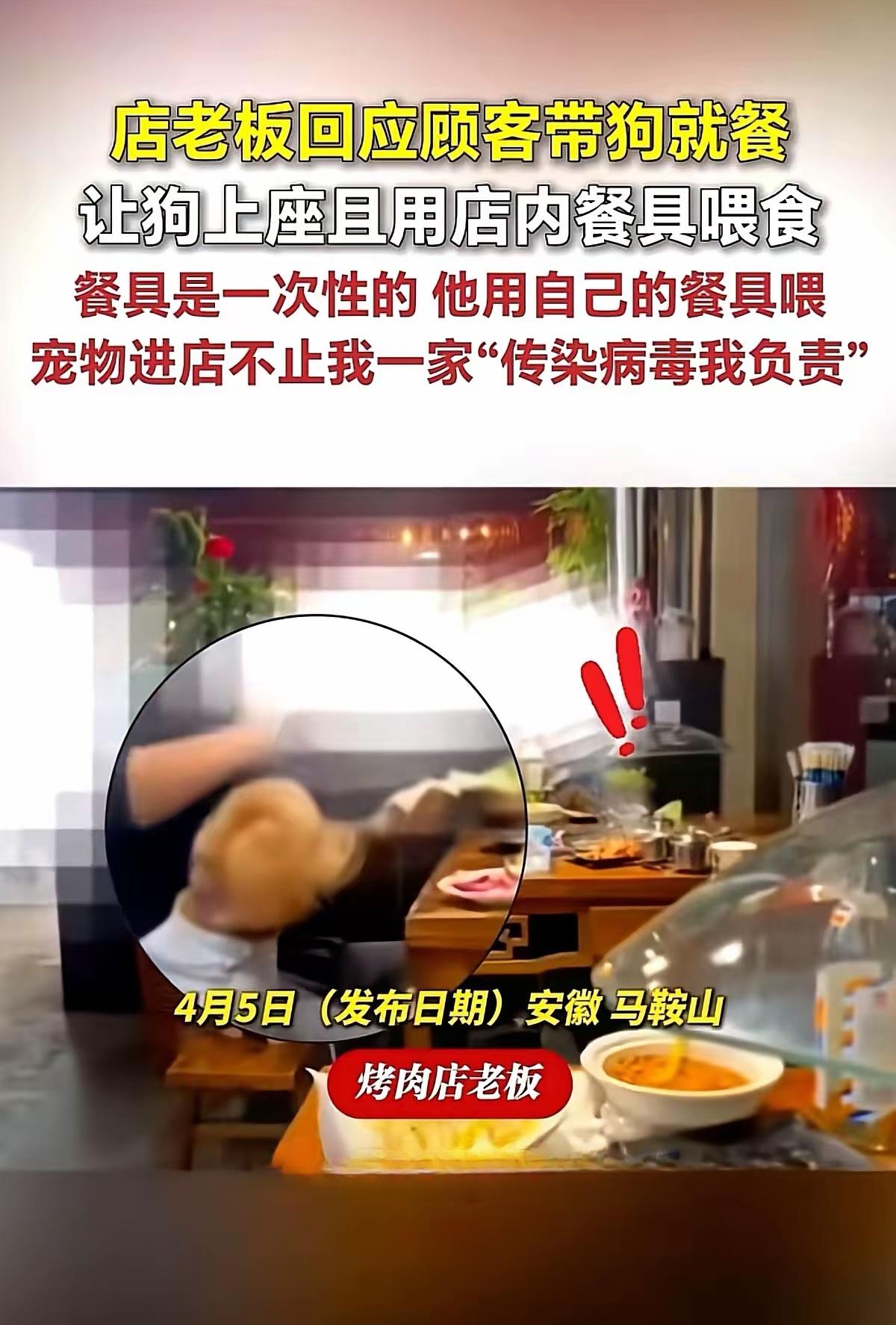 “传染病毒我负责”广大网友就欣赏这般“硬气”的老板。不知爱狗人士是否带着狗狗