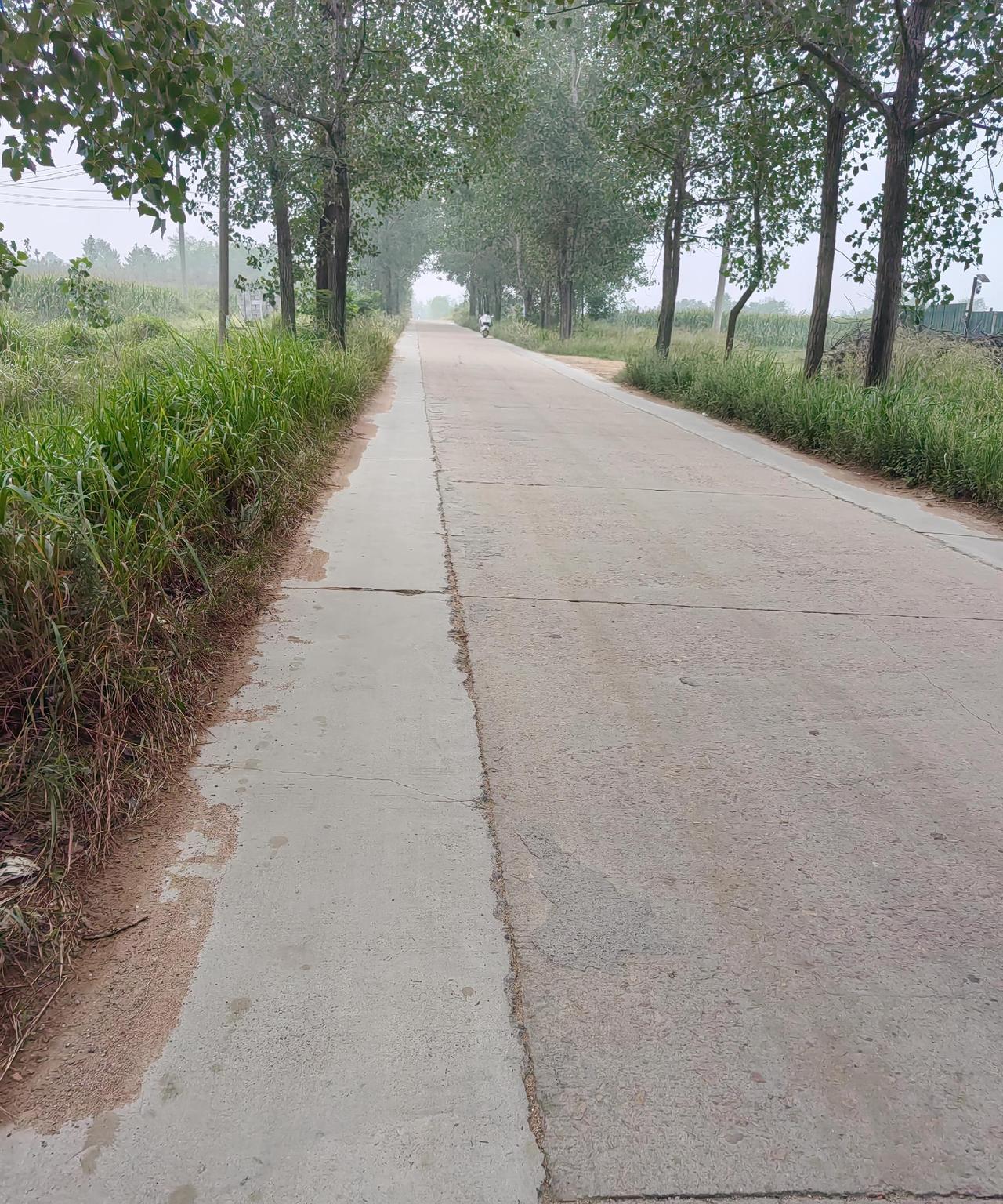 我朋友要跟她老公离婚，离了几次都离不掉，心都凉了……她老公失业4年，说是在家做视