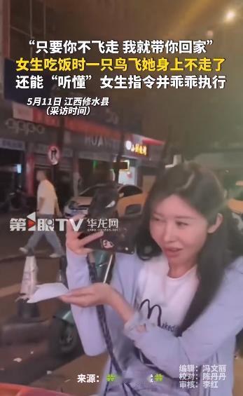 太离谱！5月11日，江西修水夜市曝出一幕罕见画面，一夜刷屏全网。众所周知，飞