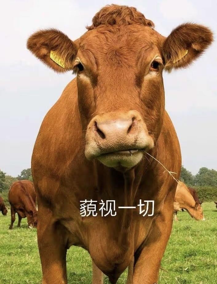 本文重要：午后（9-18）的回落我并不认为是一轮下跌的开始，相反，我更认为这是为