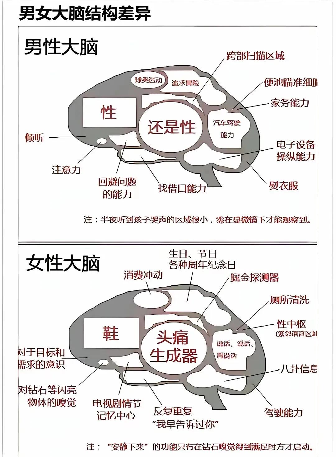 男性，钟爱夫妻生活。女性，对夫妻生活无感。这是由于男性和女性不同的大脑之