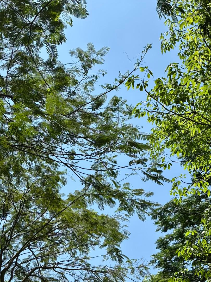 确实说的很好，无论是高中，大专还是本科毕业了。去社会，去单位，去工厂，去做