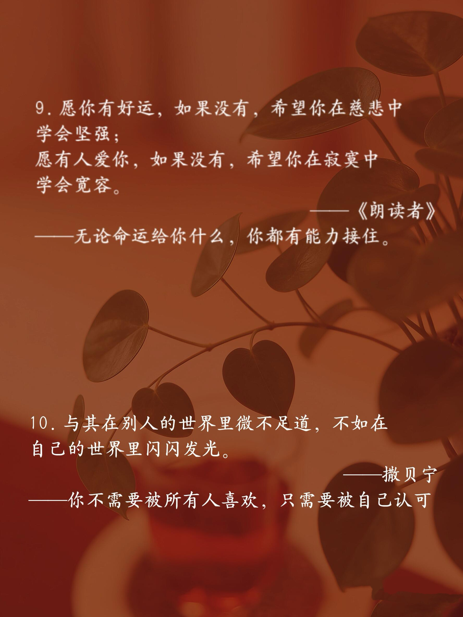 央视封神金句，句句温柔充满力量🌿