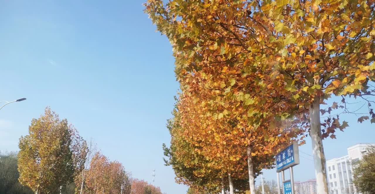 以前开车就犯困，特别是跑高速，见到服务区就进，进去眼睛瞪老大，怎么也睡不着，然后