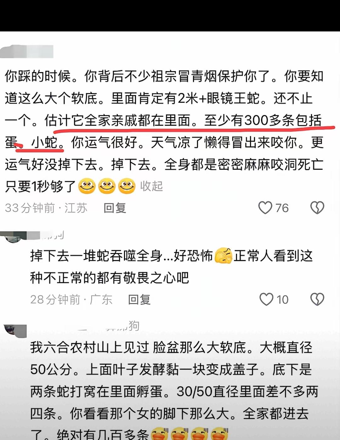 这哪是踩了狗屎运，分明是在阎王殿前走了一遭！女孩把眼镜王蛇窝当天然蹦床蹦跶，没出