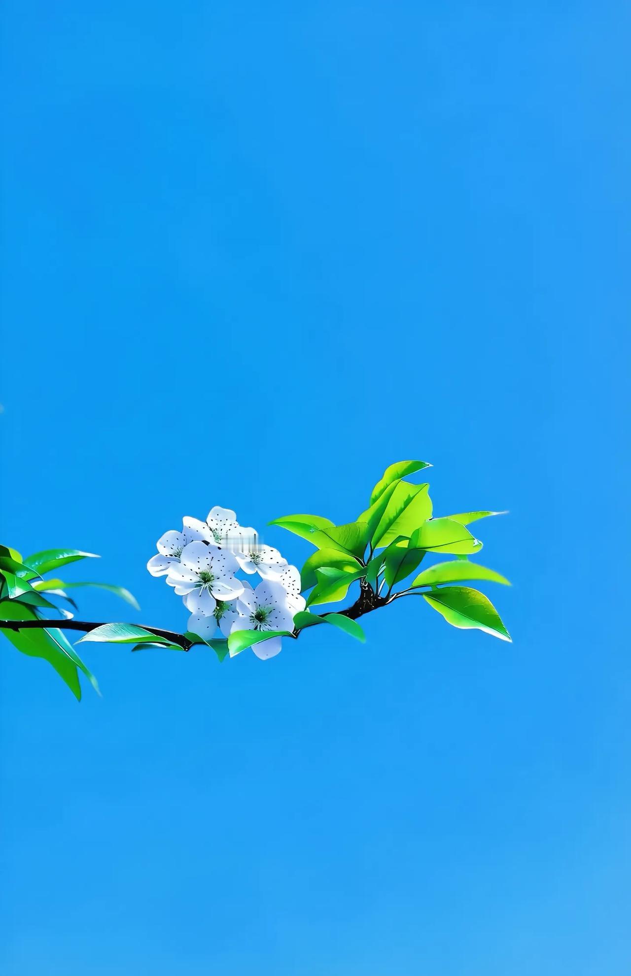 有人说南京六大的孩子也有考不上晓庄学院的，讲这种话没有任何意义。考不上晓庄学院的