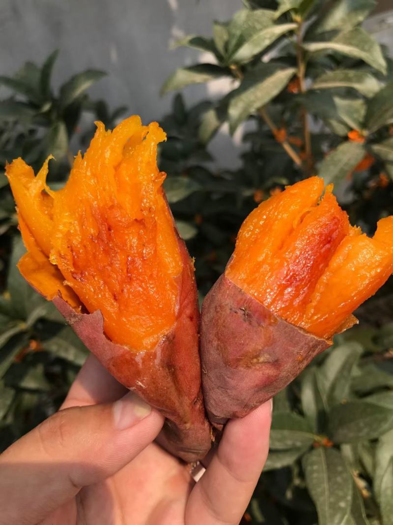 深夜话题：你喜欢吃烤红薯吗？你们那里喊红薯叫什么？地瓜、地蛋？爱吃烤红薯的人天塌