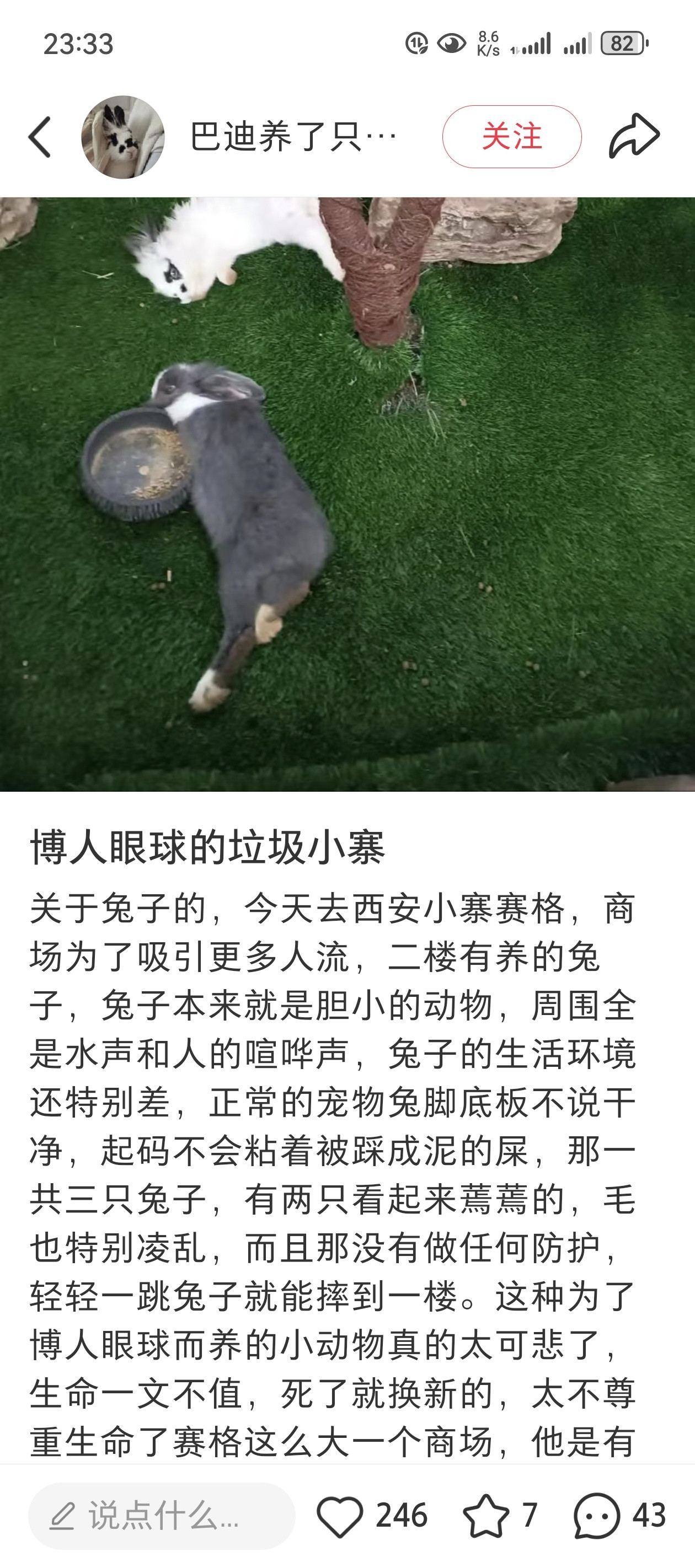西安赛格商场曾被质疑无底线引流小动物们可怜不是造谣吧？3人传播涉赛格坠楼谣言被罚