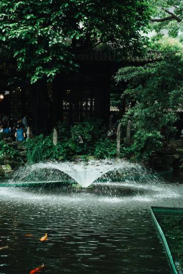 大概夏天留不住热烈，所以秋风来赴约。cr.宝藏摄影博主推荐计划​​​