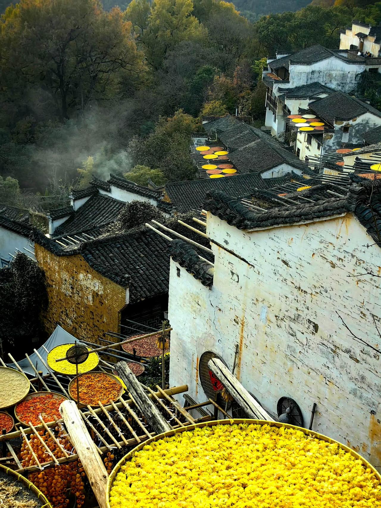 去年今天，我在婺源。人少太阳好，篁岭的晒秋，值得一追。