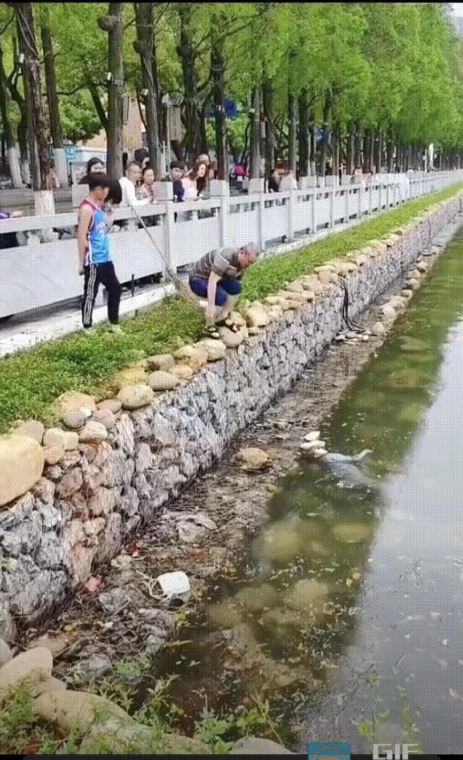 护城河里漂着一名女子，只有面部口鼻勉强露出水面，人一动不动，看上去情况不妙。路
