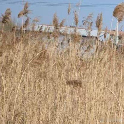 随手拍愉快的一天！