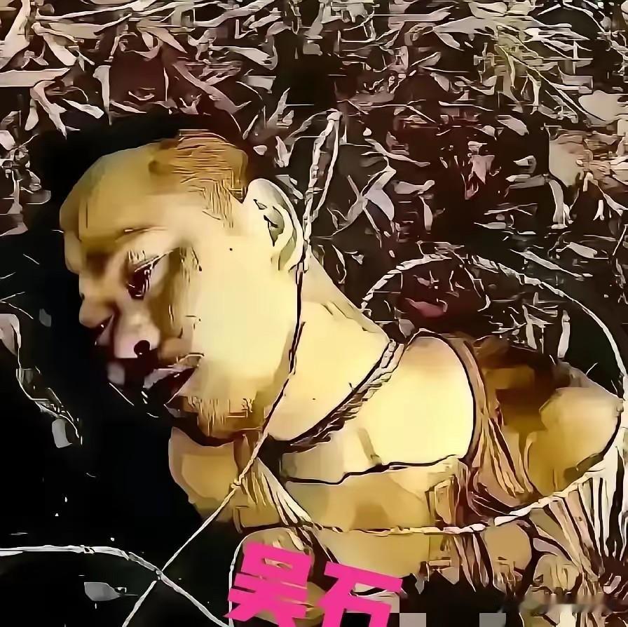 最近在纪念馆看到一张老照片，是个穿军装的人躺在地上，伤得很重。旁边介绍说是烈士吴