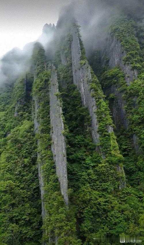 我的创意上联可以是：1、常青翠柏霜凝碧‌🤛不老苍松雪白头。2、巍峨峻岭